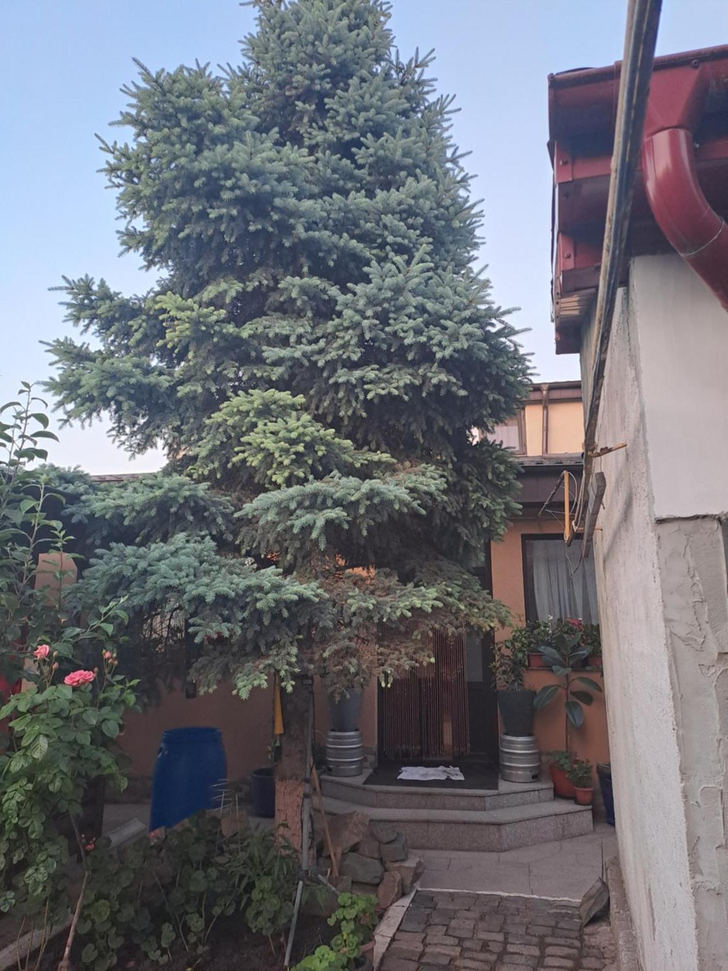 Casa Rusu Διαμέρισμα Galaţi Εξωτερικό φωτογραφία